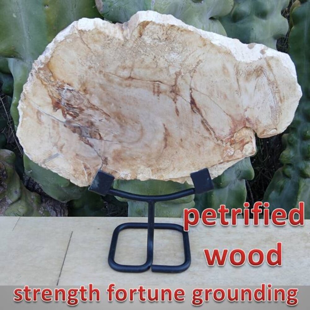 HUGE PETRIFIED WOOD stone rock on stand!! #2 FORTUNE STRENGTH CALMNESS